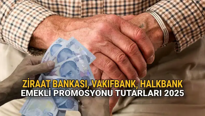 2025 Yılında Kamu Bankalarından Emeklilere Müjdeli Promosyon Fırsatları