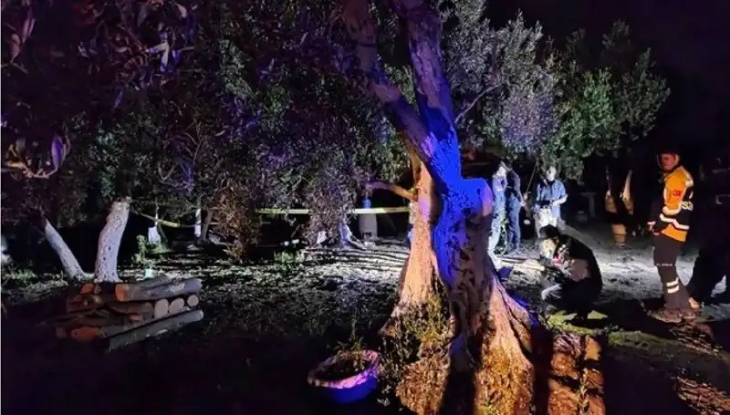 Çiftlikteki Baltalı Vahşet Olayında Bir Tutuklama Gerçekleşti