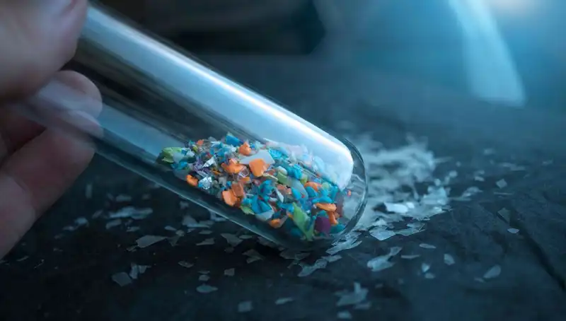 Mikroplastikler İnsan Beynine Sızıyor: Sağlığımız Üzerindeki Gizli Tehditler