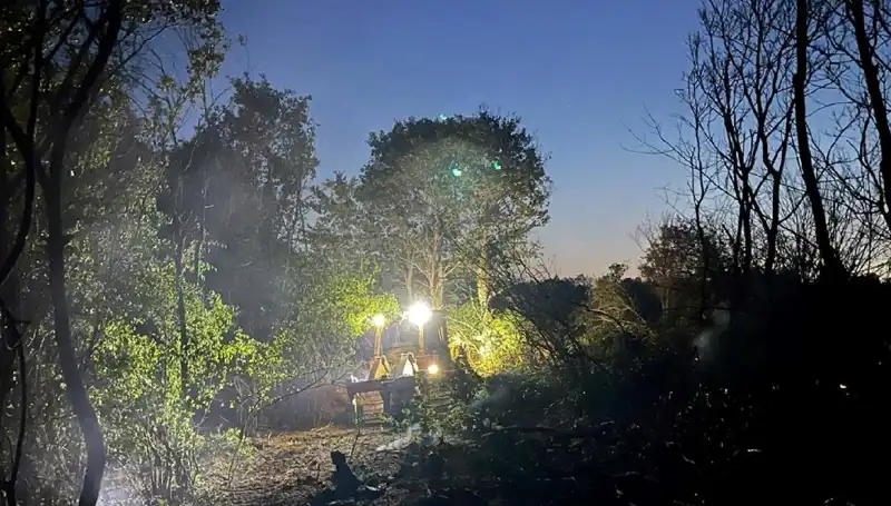 Edirne'deki Orman Yangını, Ekipler Tarafından Başarıyla Söndürüldü