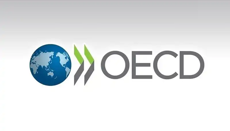 OECD’den Türkiye’nin Büyüme Tahminine Şok Güncelleme!