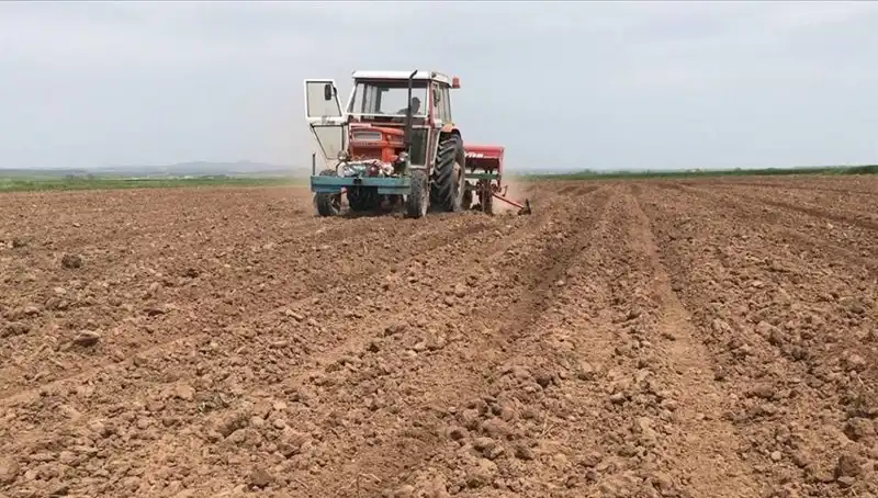 Son 35 Yılda Mart Ayı En Kurak Geçti, Yağış Miktarı Yüzde 59 Düştü