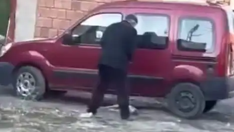 Sokak Ortasında Köpeğe Uygulanan Şiddet: Hayvan Hakları İçin Ses Verin