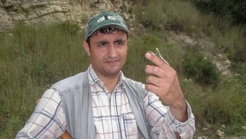 Yeni Keşfedilen Böcek Türüne Eşinin Adı Verildi: Sosyal Medya Tepkileri Tartışma Yarattı