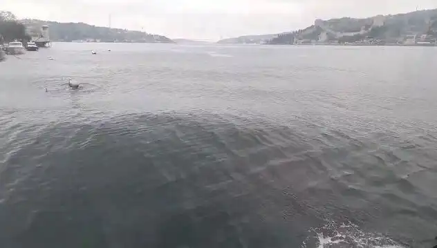 İstanbul Boğazı'nda Yükselen Dalgalar: Doğanın Gücünü Hissetmek