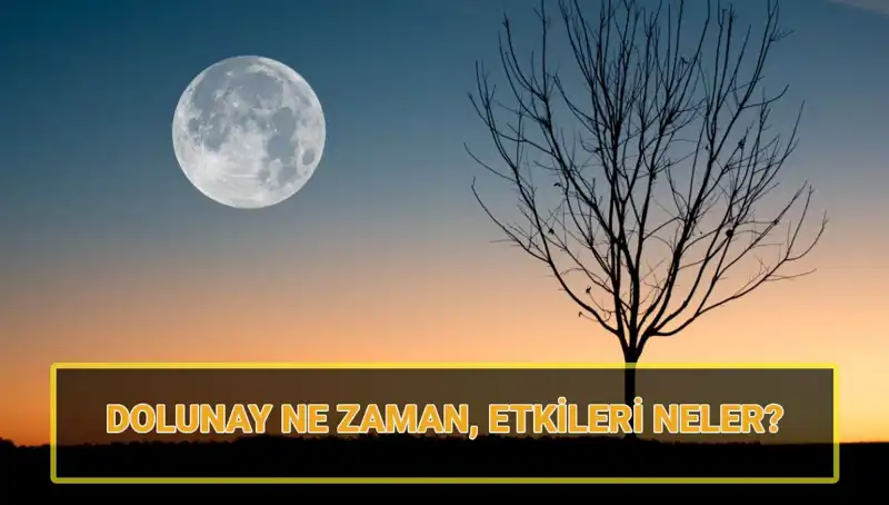 Bu Ayki Terazi Dolunayı: Etkileri ve Yaşamınıza Yansımaları
