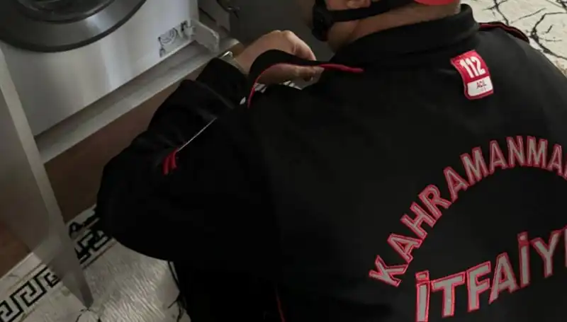 Çamaşır Makinesine Giriş Yapan Kedi Talihli Bir Şekilde Kurtarıldı