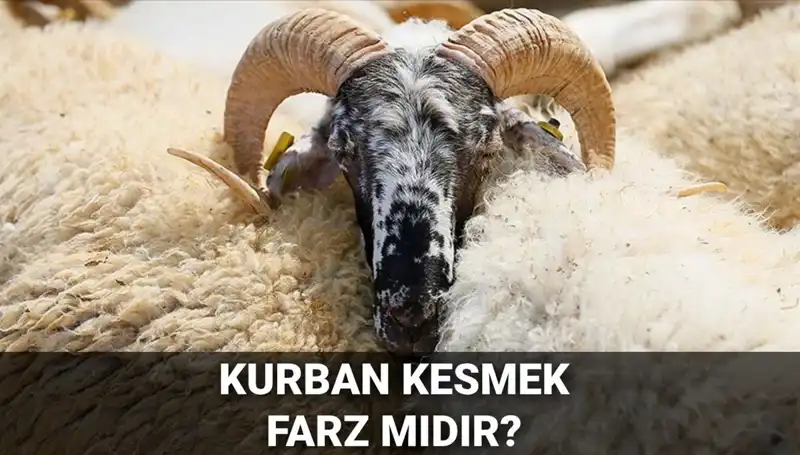 Kurban Kesmek Farz mı? Diyanet'in Değerlendirmeleri ve Şartları