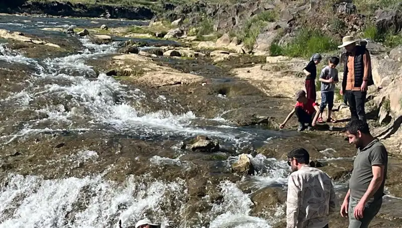İnci Kefalinin Göçü: Doğanın Harikası Binlerce Turisti Büyüledi
