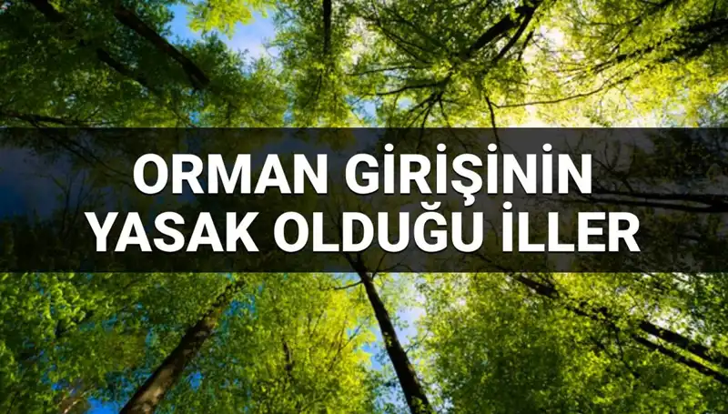 2025 Yılında Ormana Girişi Yasaklanan İller: Hangi Şehirler Etkilenecek?