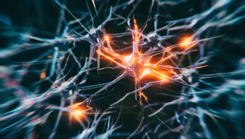 Alzheimer Vakalarının Artışındaki Gizemli Sebepler ve Çözüm Yolculukları