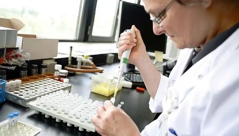 Antibiyotiklere Dirençli Bakteriler: Küresel Sağlık İçin Tehlike