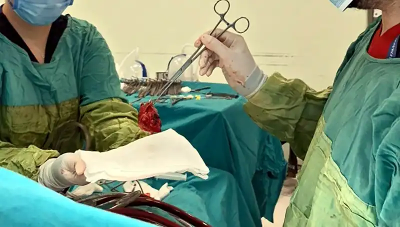 Kalp Kapağı Ameliyatında Yaşanan Mucizevi Başarı: 7 Saatlik Mücadelenin Ardından