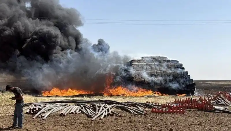 Mardin'de Anız Yangını Can ve Mal Kaybına Yol Açtı