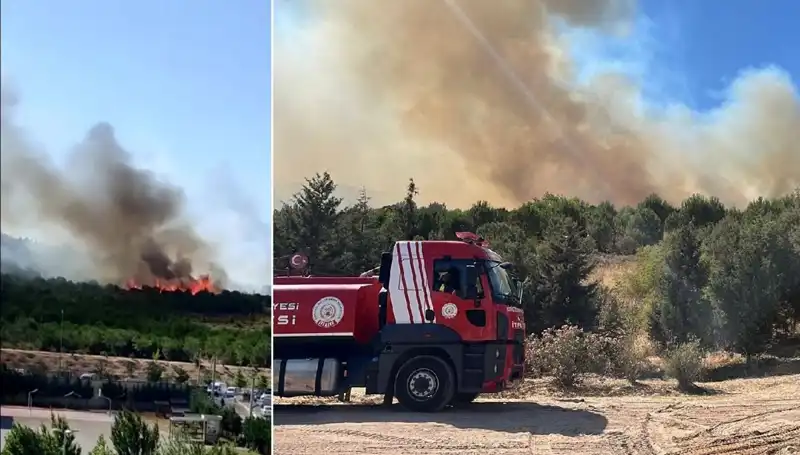 Gebze'de Yangın Alarmı: Ormanlık Alan Kül Oldu!