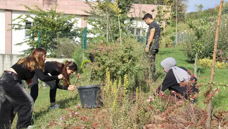 Düzce’den Dünyaya Açılan Kapı: Hayalim Gerçek Oldu