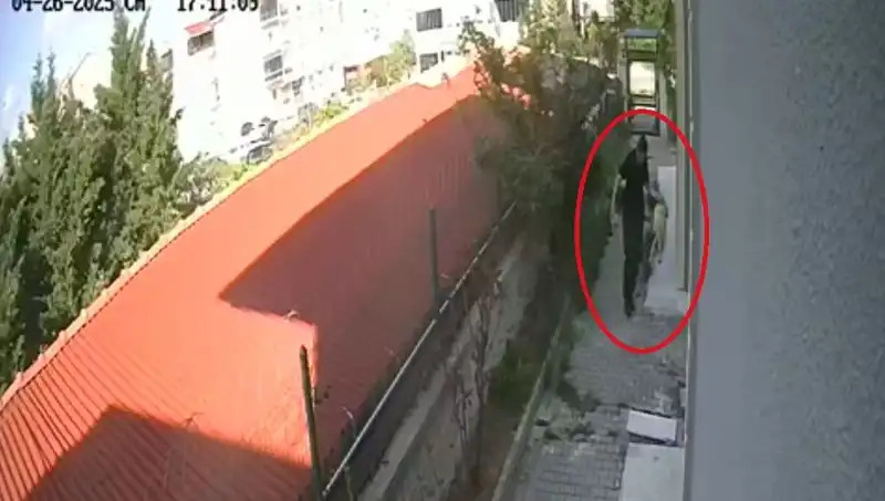 Veteriner Doktorun Şok Eden İtirafı: Evdeki Köpeklerini Parçaladı!